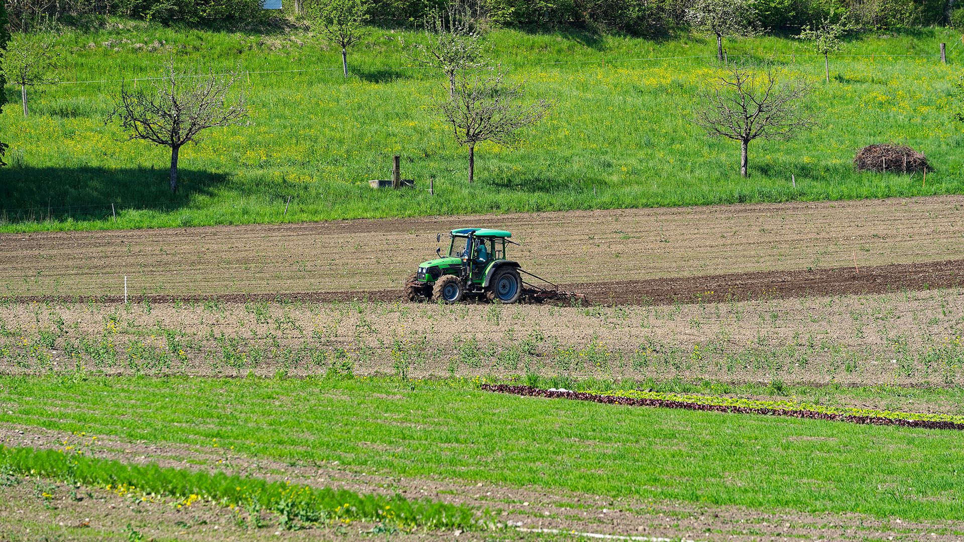 Landwirtschaft Schweiz