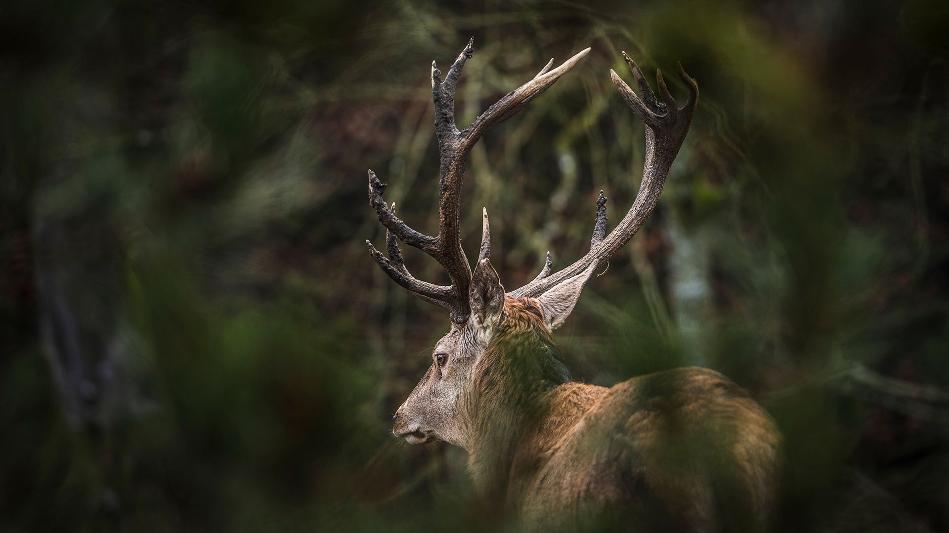 Wildtierschutzgebiete 