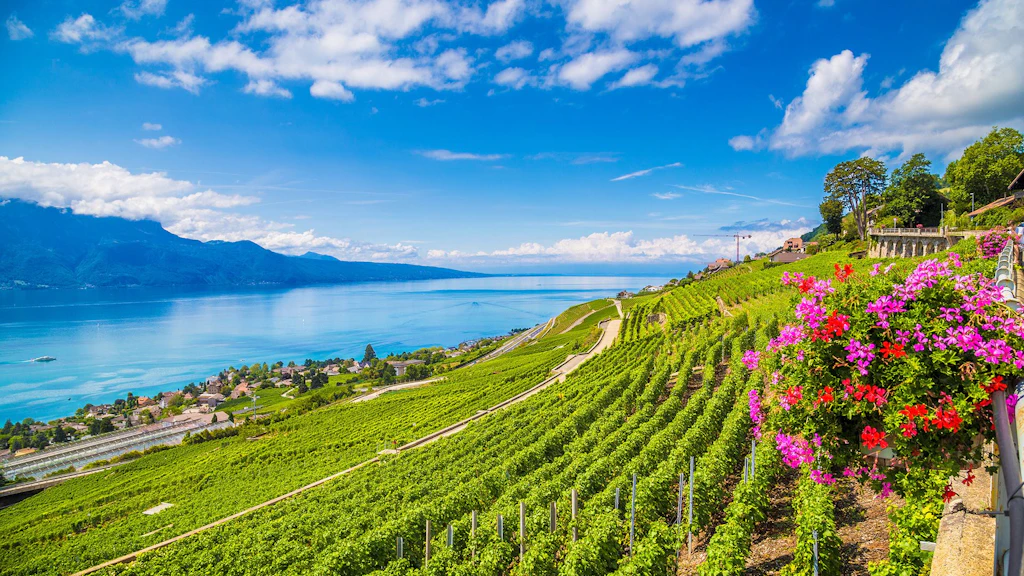 Lavaux Unesco