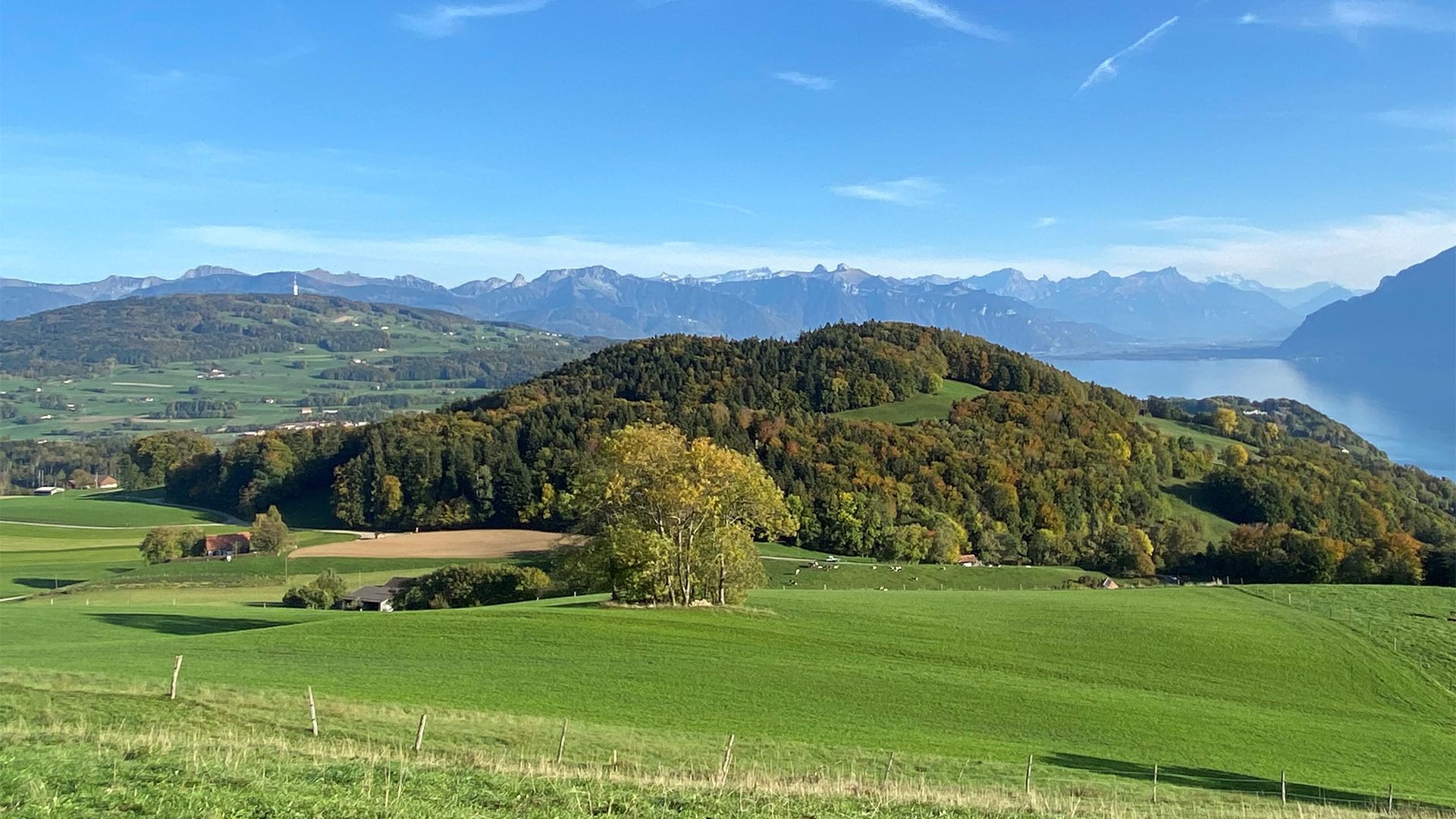 Landschaftstypologie