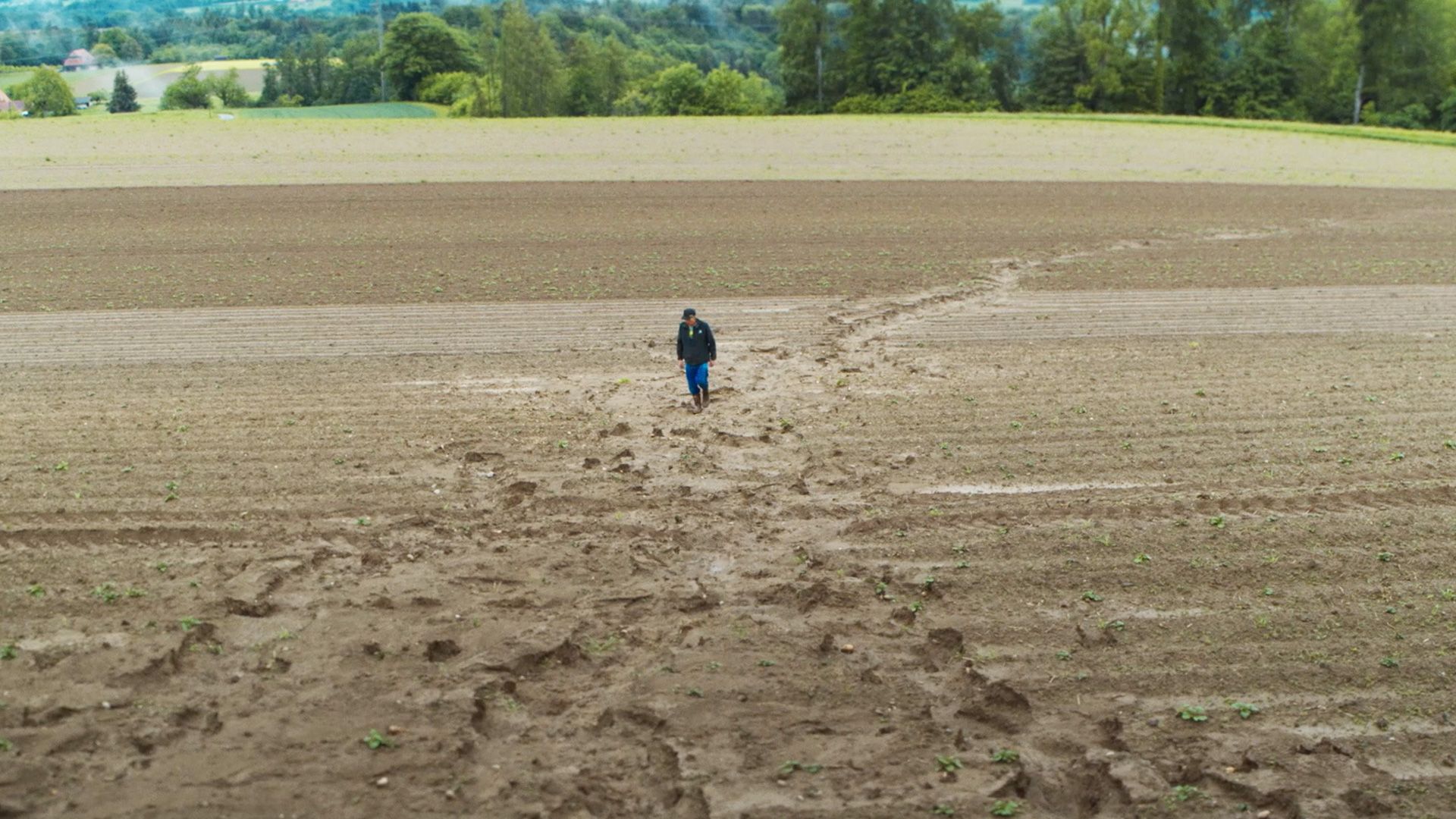 Hanglagen Abschwemmung