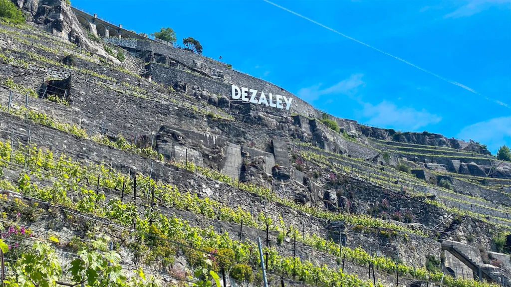 Dezaley