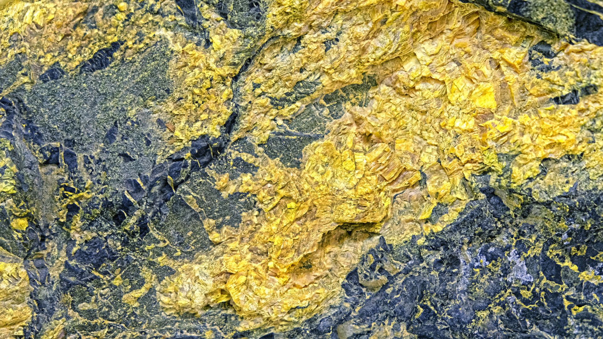 Gehalte an potentiell toxischen und essentiellen Elementen