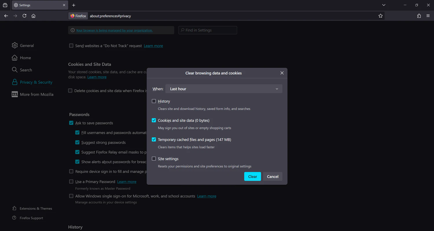 Clear cache on Firefox browser