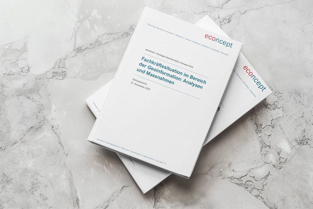 Rapport final : Situation des professionnels qualifiés dans le domaine de la géoinformation