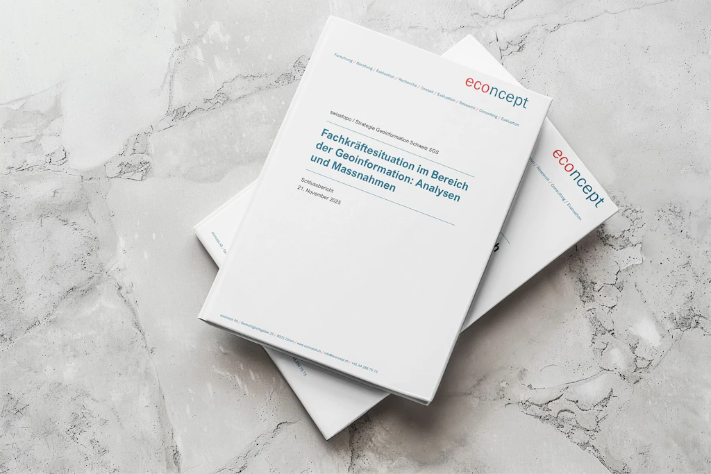 Relazione finale: Situazione dei professionisti qualificati nel settore della geoinformazione